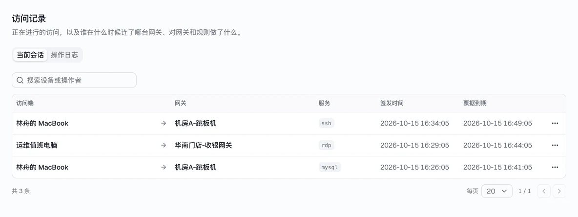 访问记录：当前会话与操作日志。